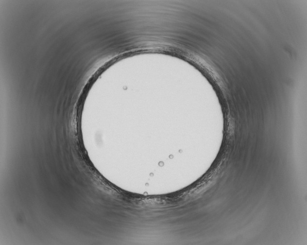 X0000110910883200907301539