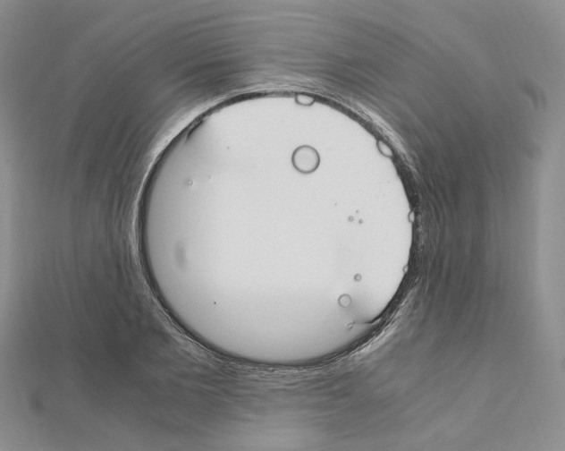 X0000110910885200907301539