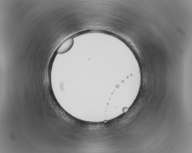 X0000110910887200907301539