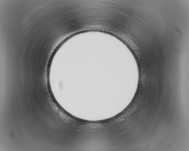 X0000110910888200907301539