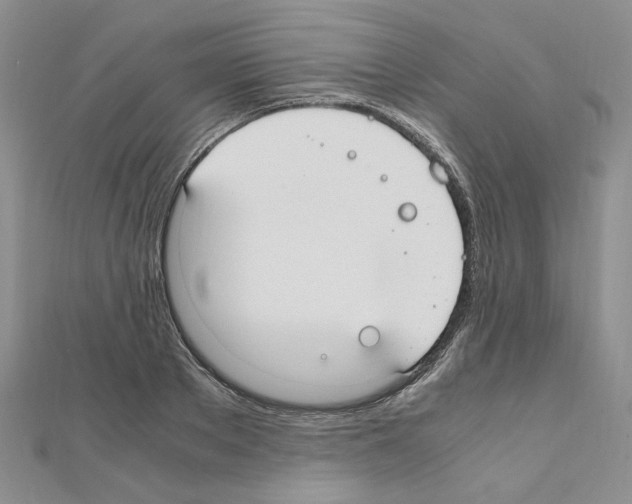 X0000110910889200907301539