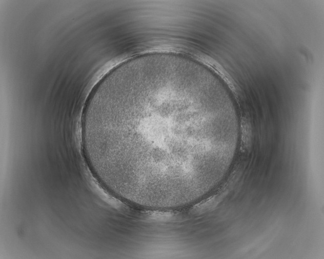 X0000110910890200907301539