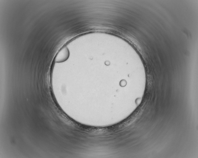 X0000110910891200907301539