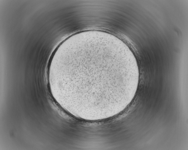 X0000110910892200907301539