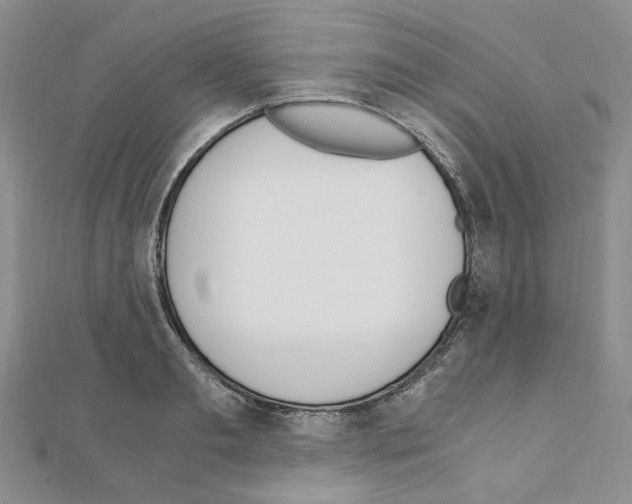 X0000110910893200907301539