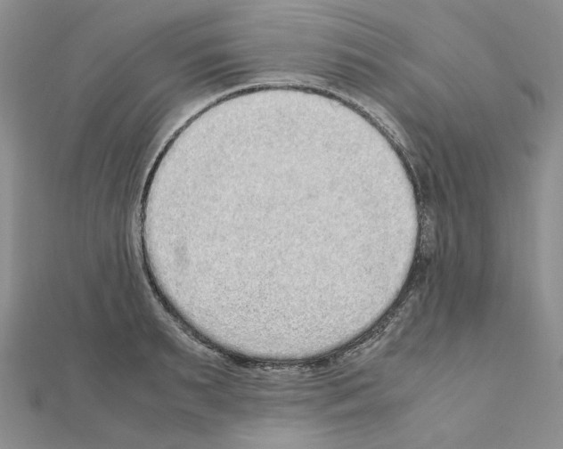 X0000110910895200907301539