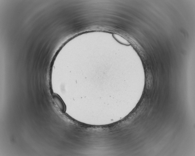 X0000110910896200907301539