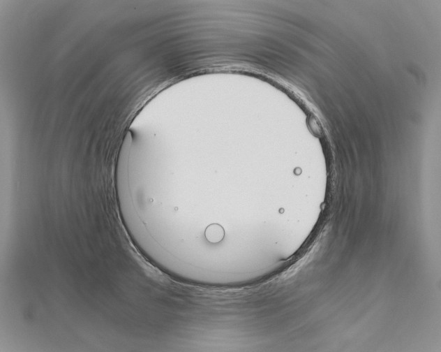 X0000110910897200907301539