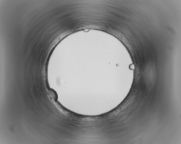 X0000110910898200907301539