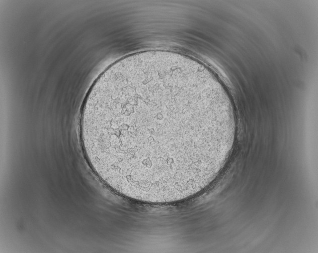 X0000110910899200907301539