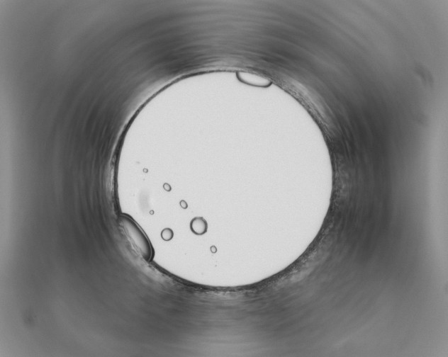 X0000110910900200907301539