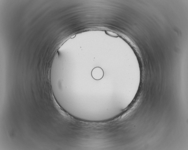 X0000110910905200907301539