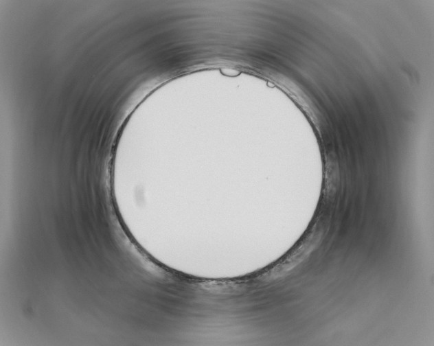 X0000110910906200907301539