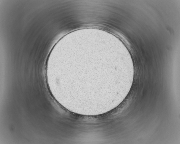 X0000110910907200907301539