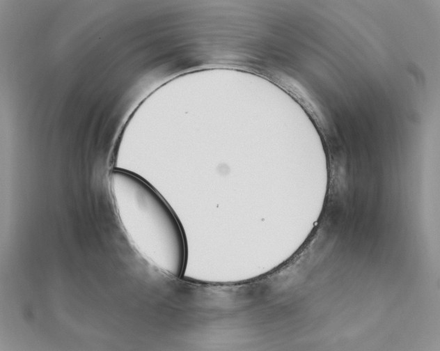 X0000110910908200907301539