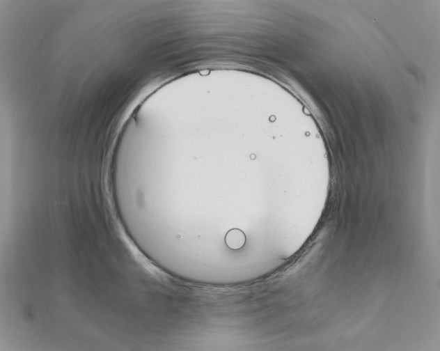 X0000110910909200907301539