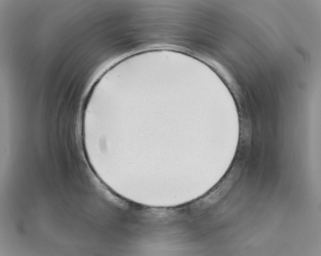 X0000110910910200907301539