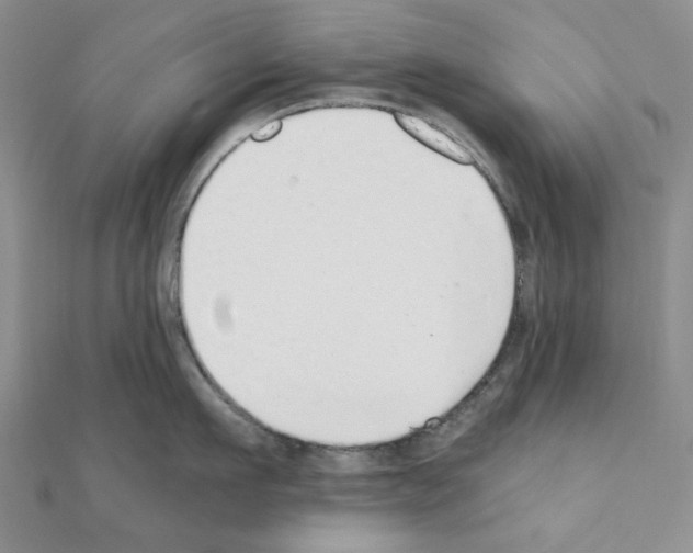 X0000110910911200907301539