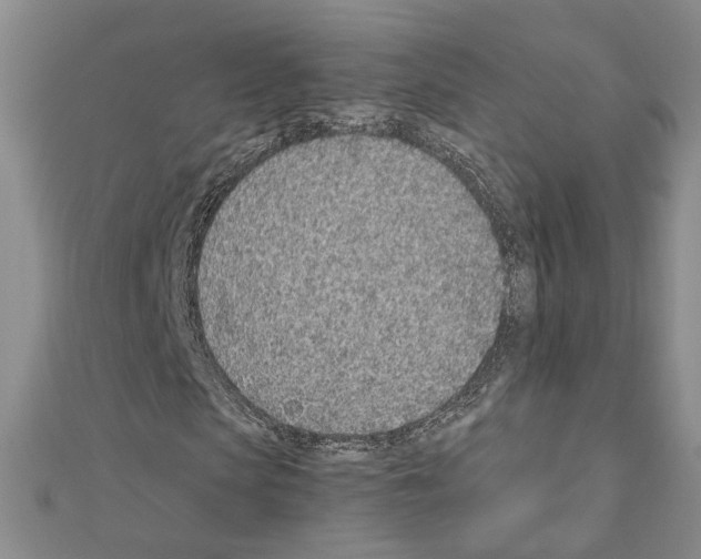 X0000110910913200907301538