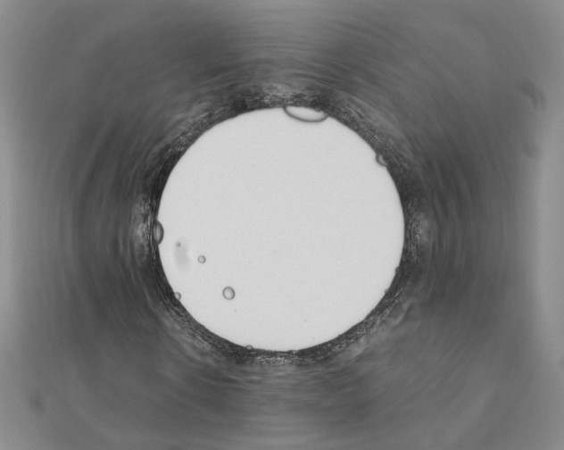 X0000110910914200907301538