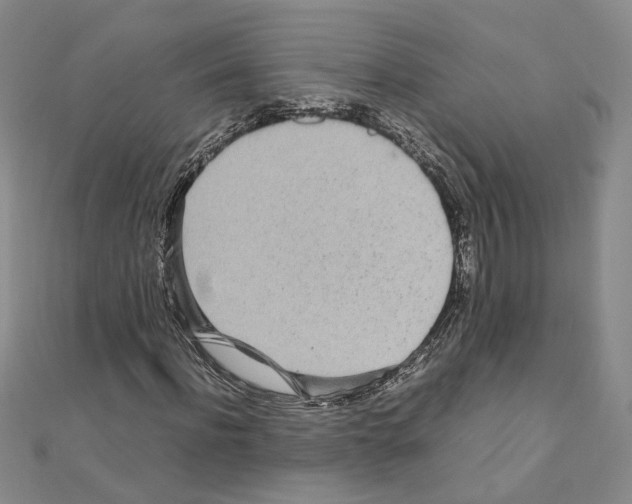 X0000110910916200907301538