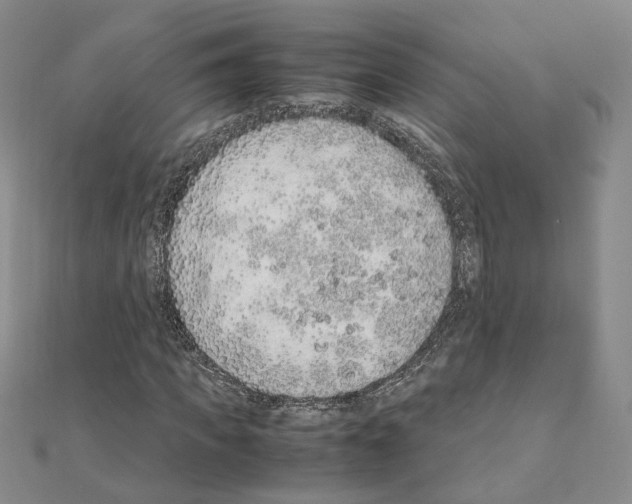 X0000110910917200907301538