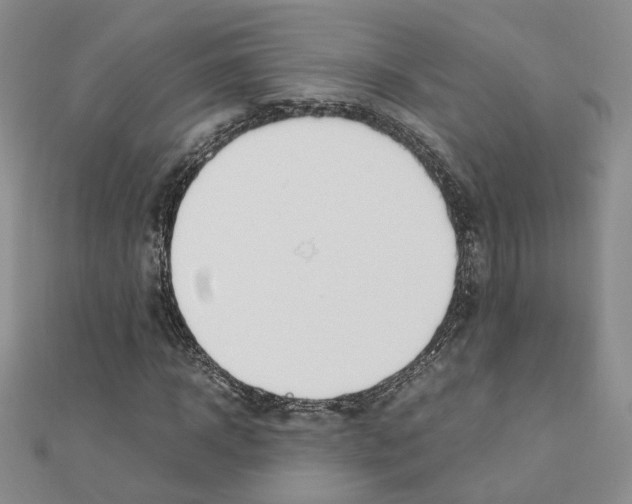 X0000110910918200907301538