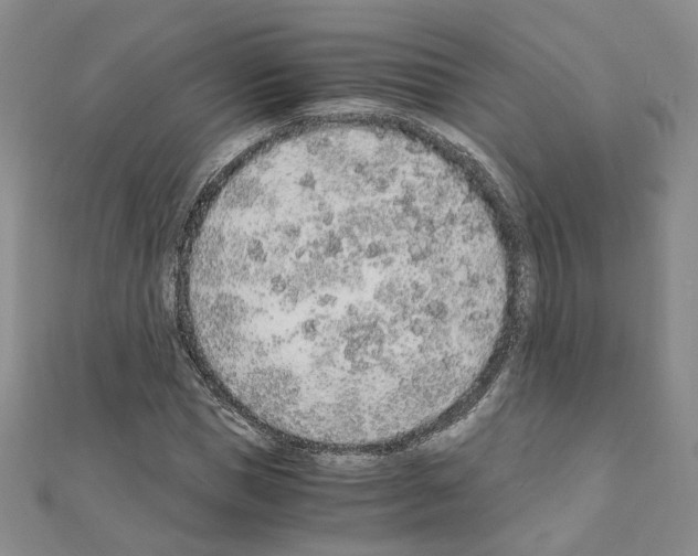 X0000110910921200907301538