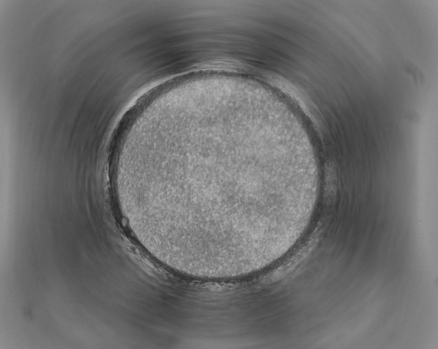 X0000110910923200907301538