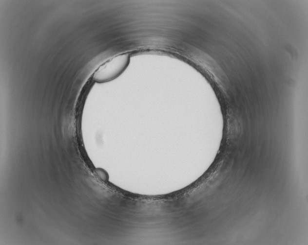 X0000110910924200907301538