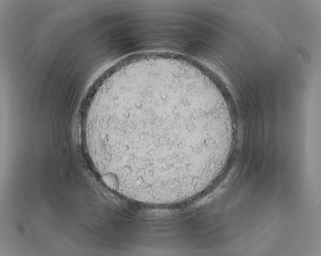 X0000110910925200907301538