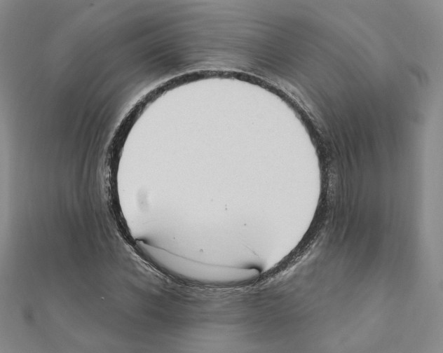 X0000110910926200907301538