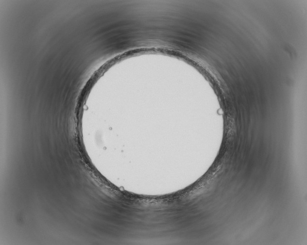 X0000110910927200907301538