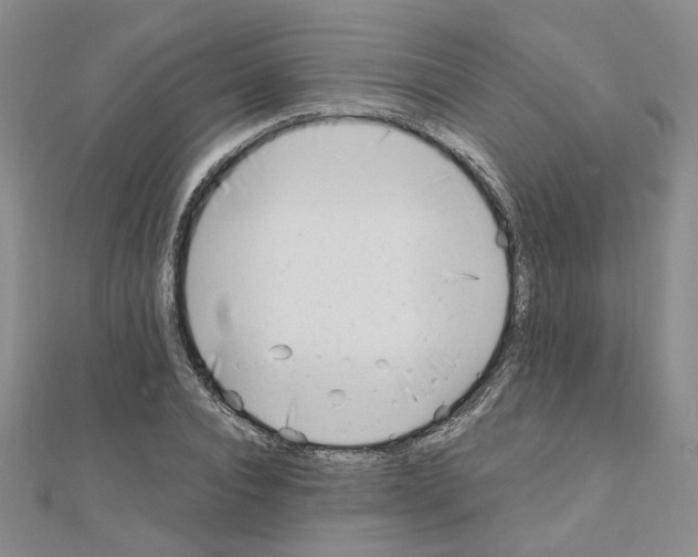 X0000110910928200907301538