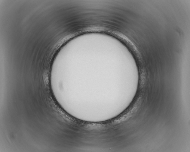 X0000110910929200907301538