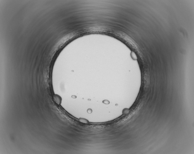 X0000110910930200907301538