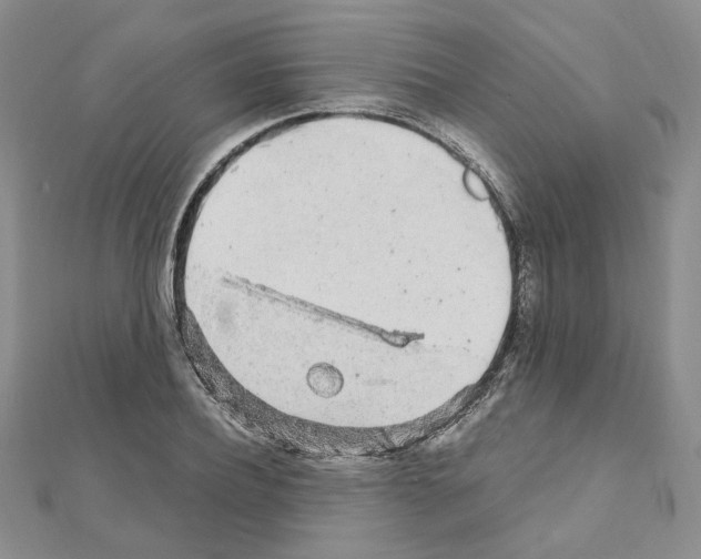 X0000110910932200907301538