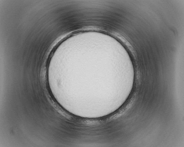 X0000110910933200907301538