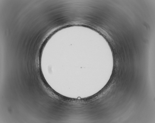 X0000110910934200907301538