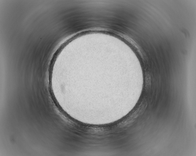 X0000110910935200907301538