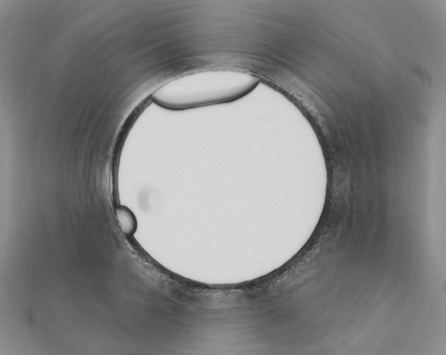 X0000110910936200907301538