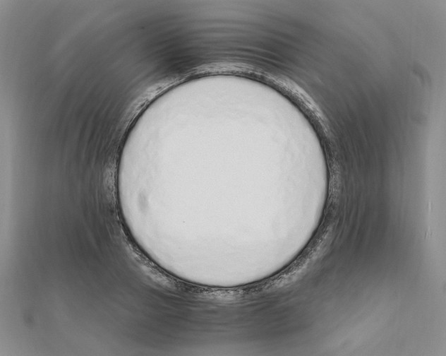 X0000110910937200907301538