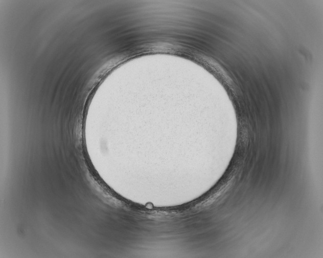 X0000110910938200907301538