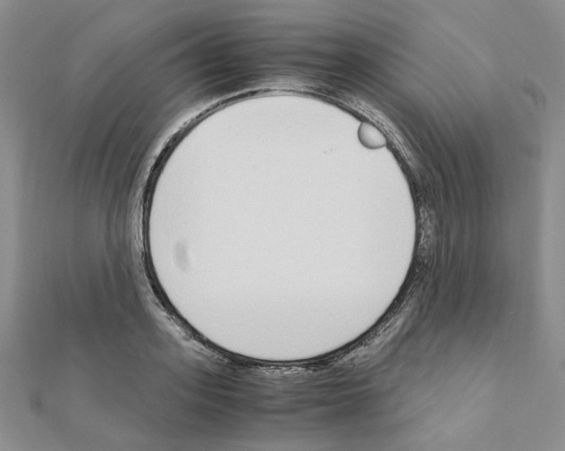 X0000110910939200907301538