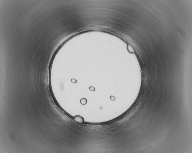 X0000110910940200907301538