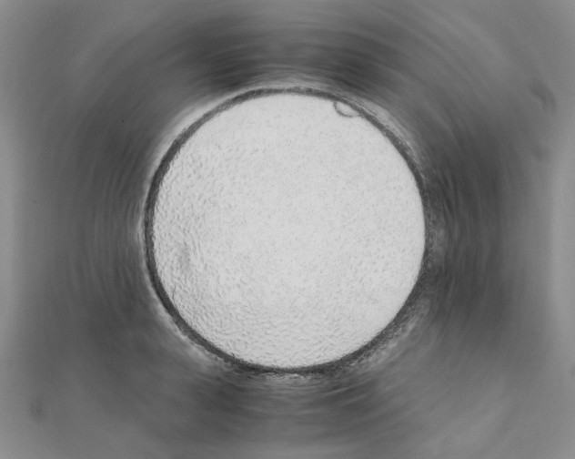 X0000110910943200907301538