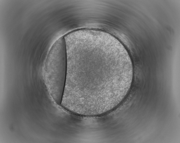 X0000110910944200907301538