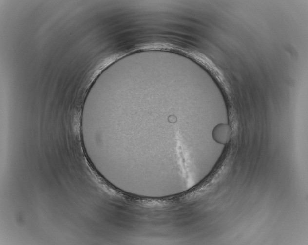 X0000110910945200907301538