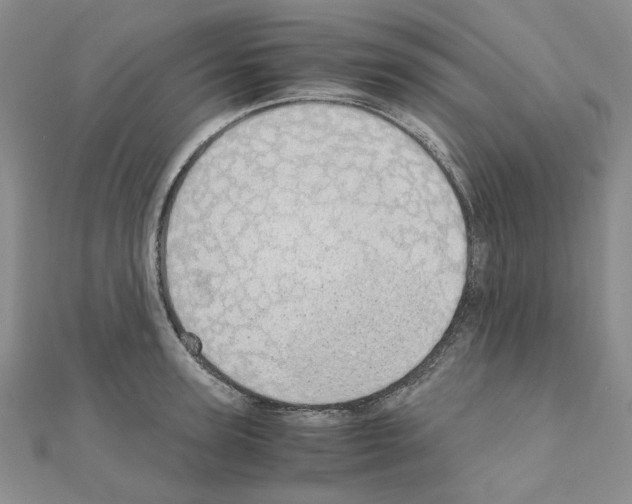 X0000110910947200907301538