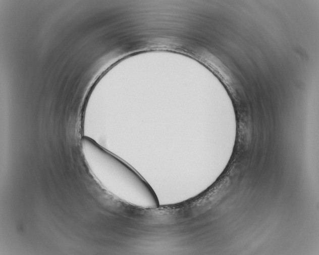 X0000110910948200907301538